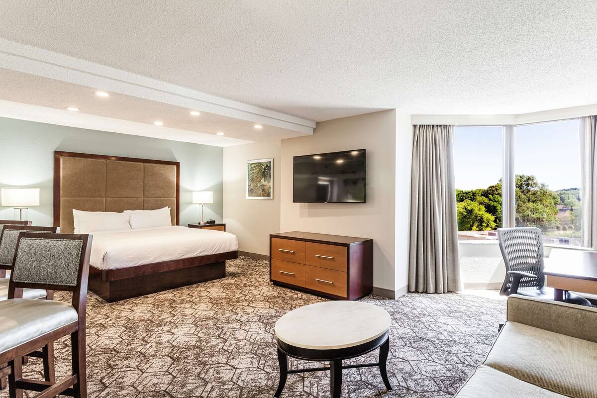 A hotel room with a bed, a desk, a chair, a TV, and a view of the outdoors.