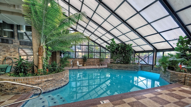 Una piscina interior con techo de cristal, rodeada de plantas y un muro de piedra.