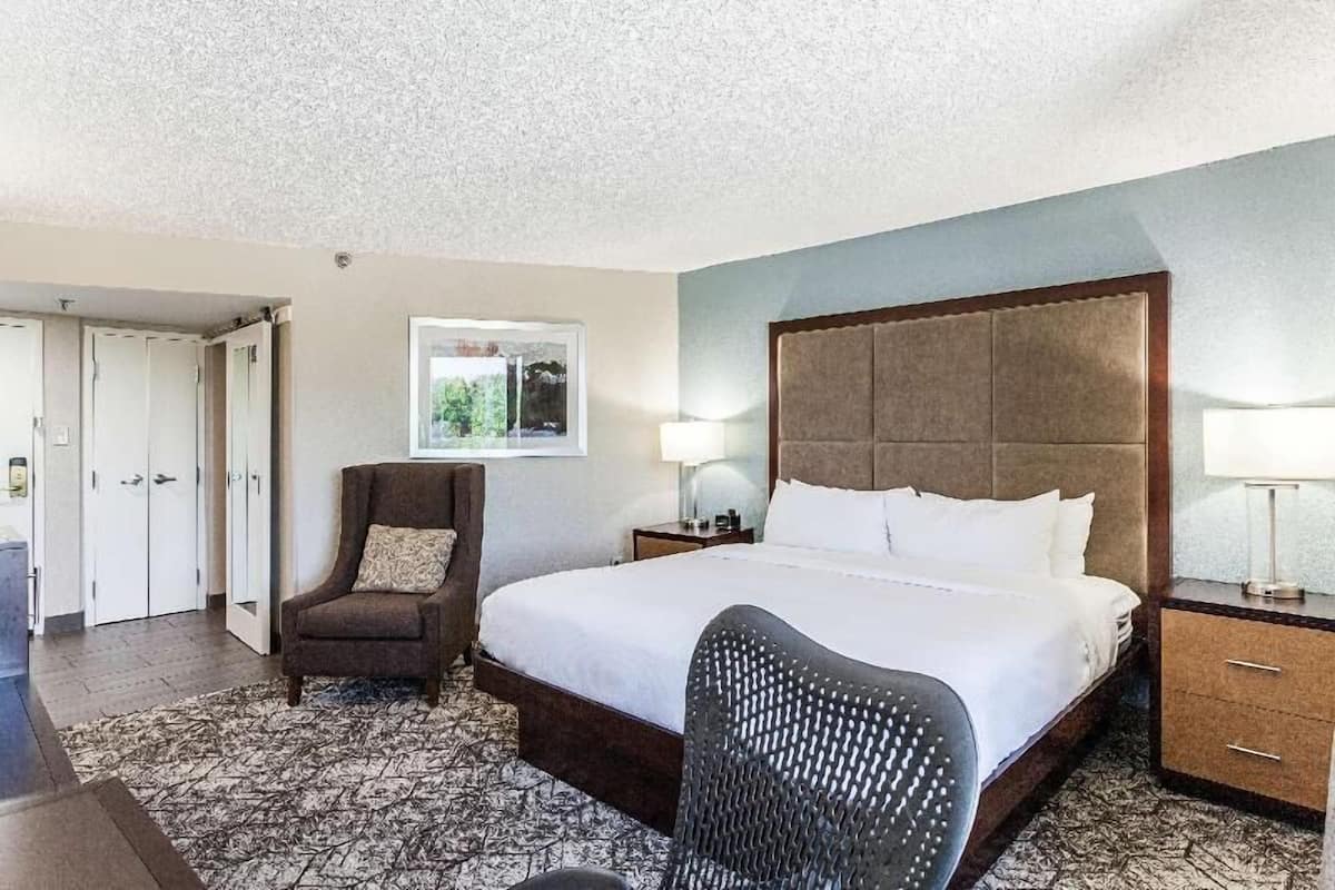 A hotel room with a large bed, a chair, a nightstand, a lamp, and a window with a view.