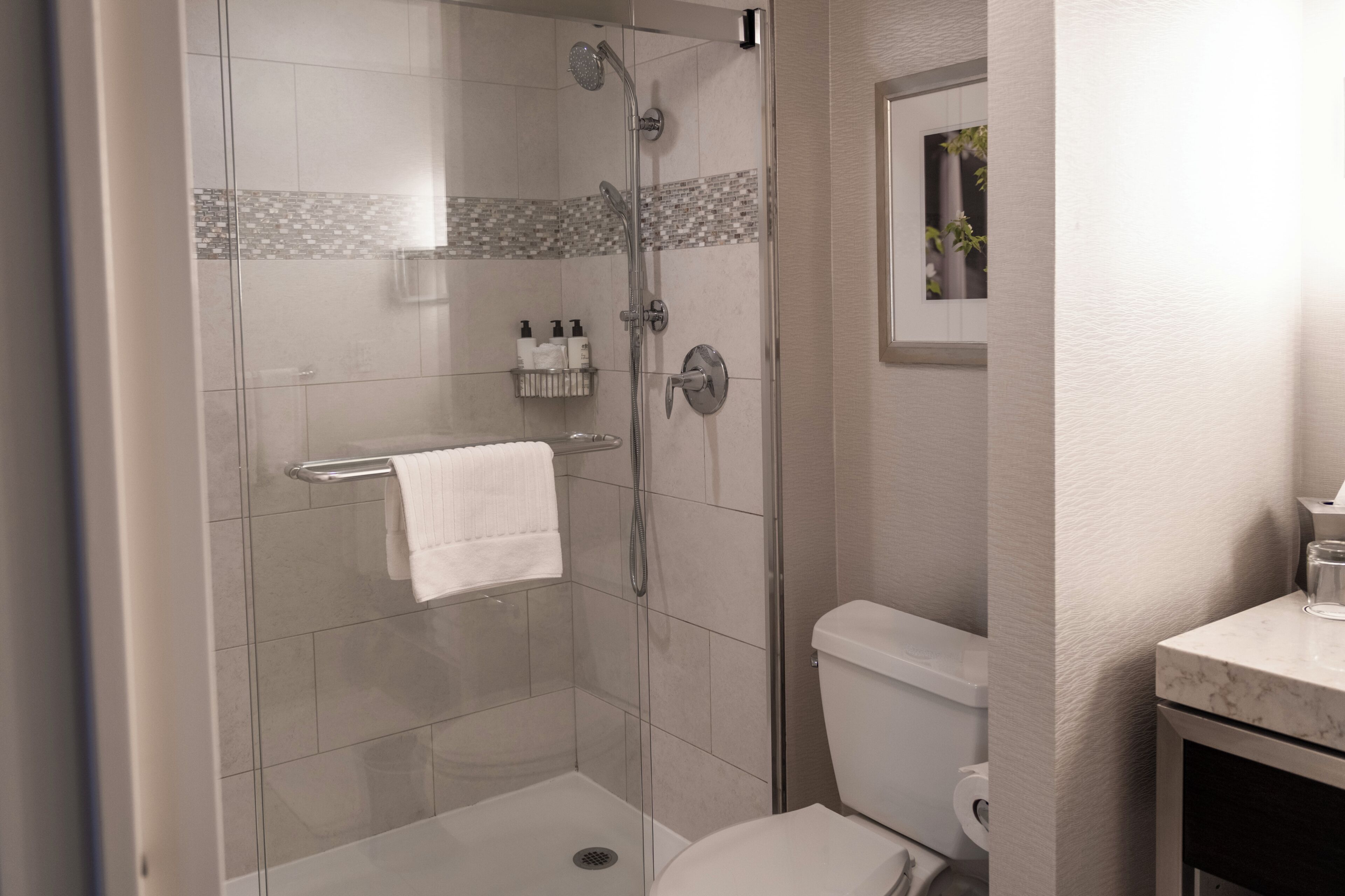 A modern bathroom with a glass-enclosed shower, a toilet, and a sink area.