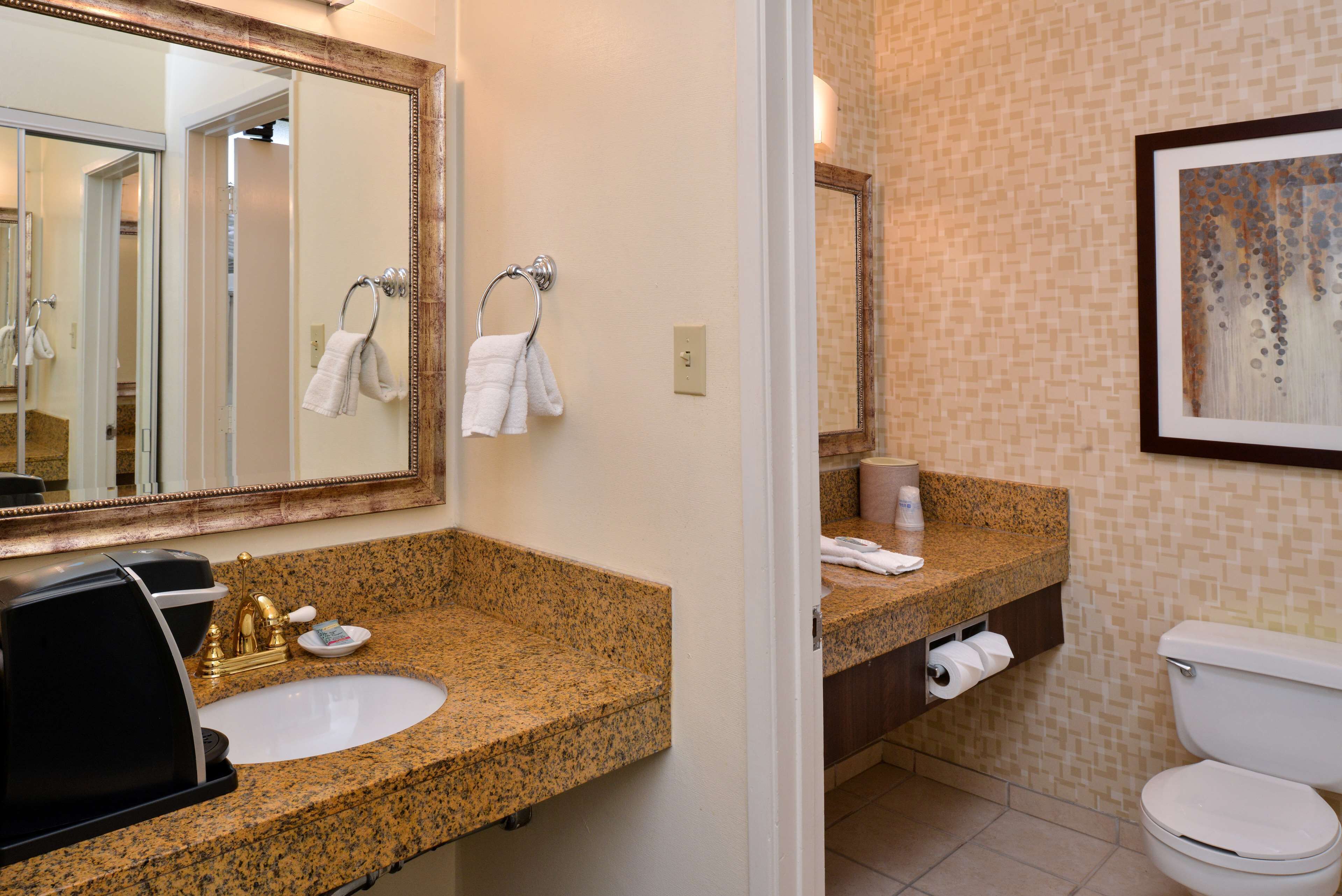 A bathroom with a granite countertop sink, a large mirror, a towel rack, a toilet, and a framed artwork on the wall.