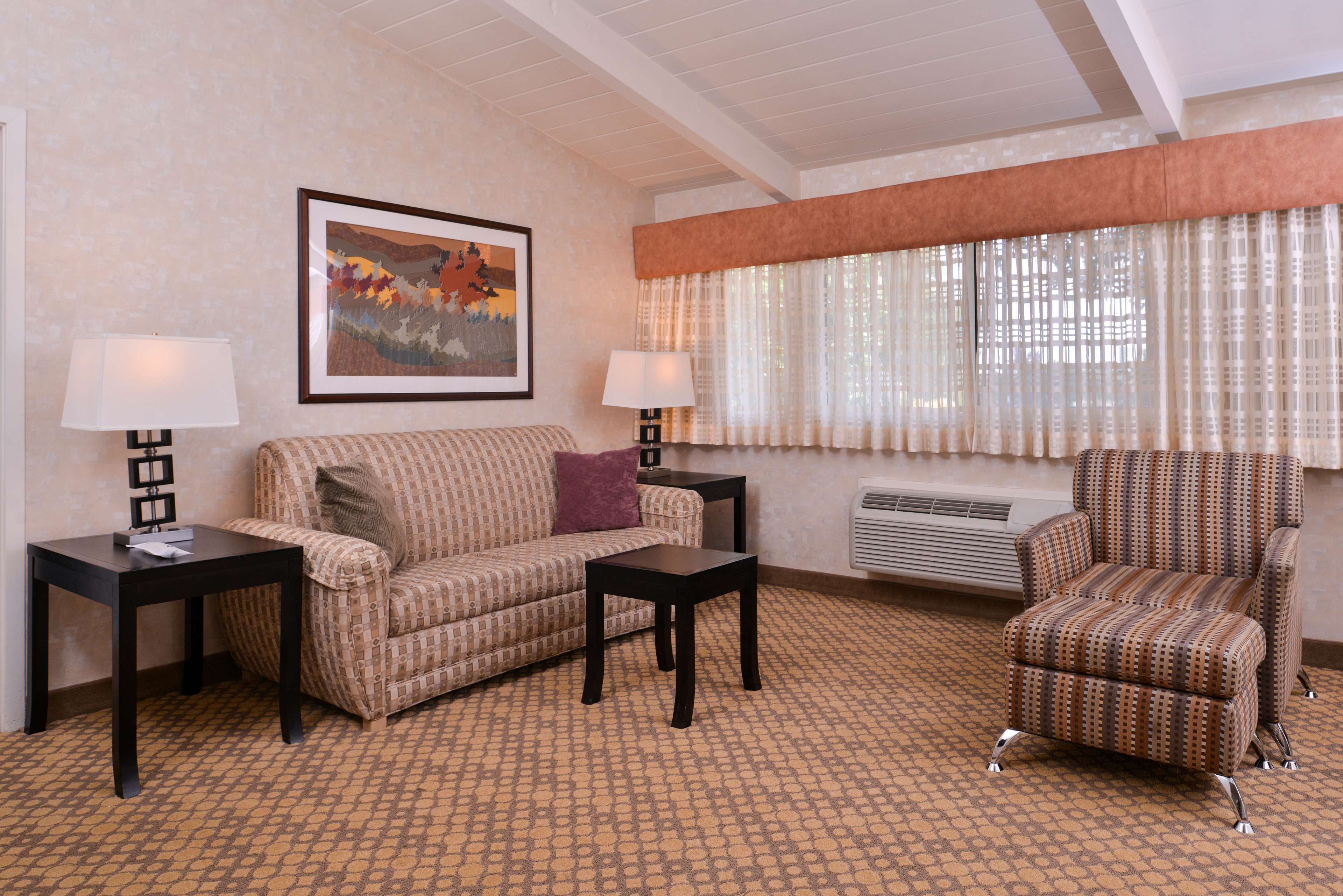 A living room with a patterned sofa, a patterned armchair, two side tables with lamps, a framed picture on the wall, and a window with sheer curtains.