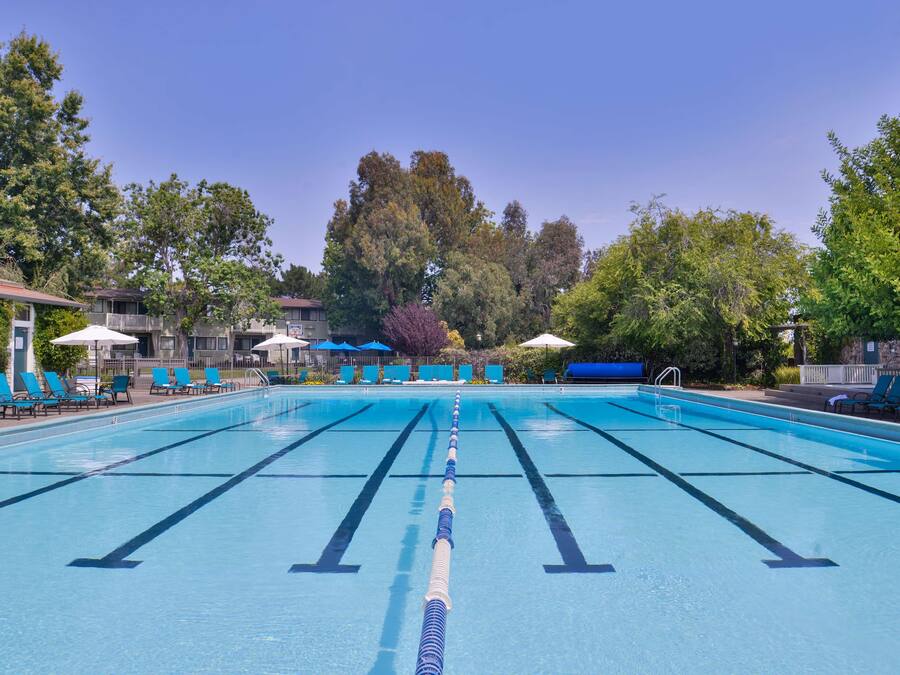 Seasonal outdoor pool, open 7:00 AM to 10:00 PM, pool umbrellas
