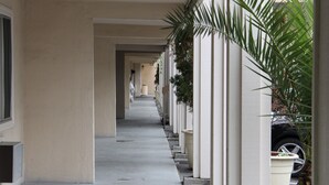 Un pasillo largo y estrecho con suelo de concreto, flanqueado por pilares blancos y plantas en macetas a un lado.