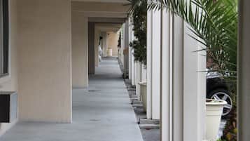 Courtyard view