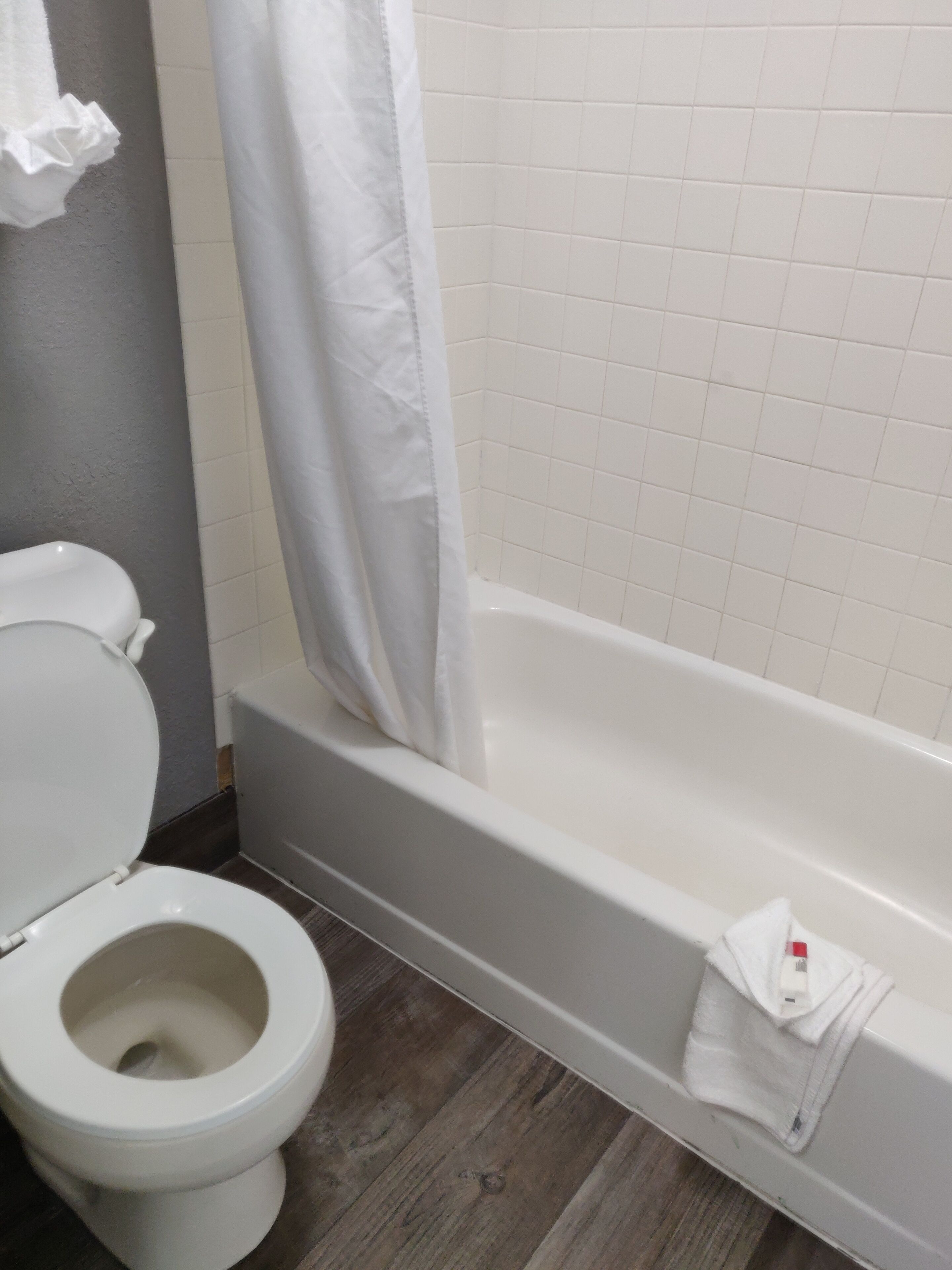 A bathroom with a white toilet, a bathtub, and a shower curtain.