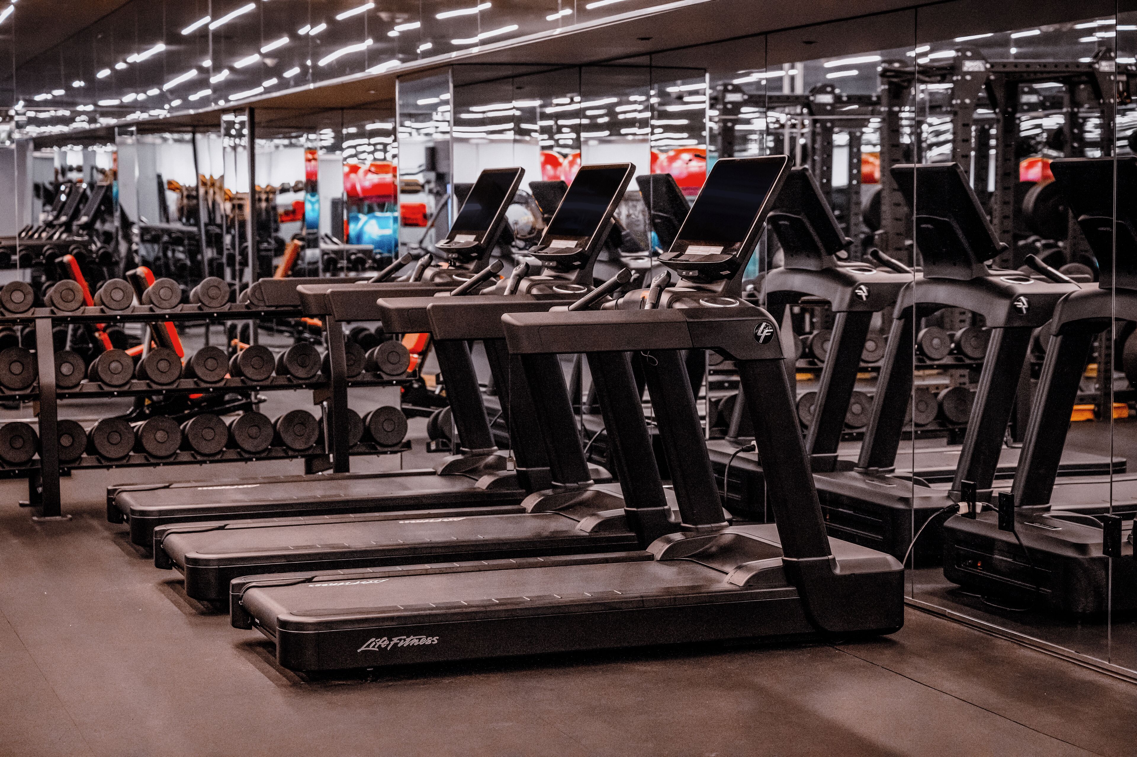 A gym with multiple treadmills, weight machines, and free weights.