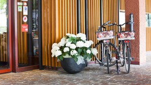 A hotel entrance with a large black planter of white flowers, a bicycle, and various signs including a no-smoking sign.