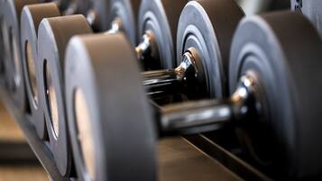 A close-up of a row of dumbbells on a rack.