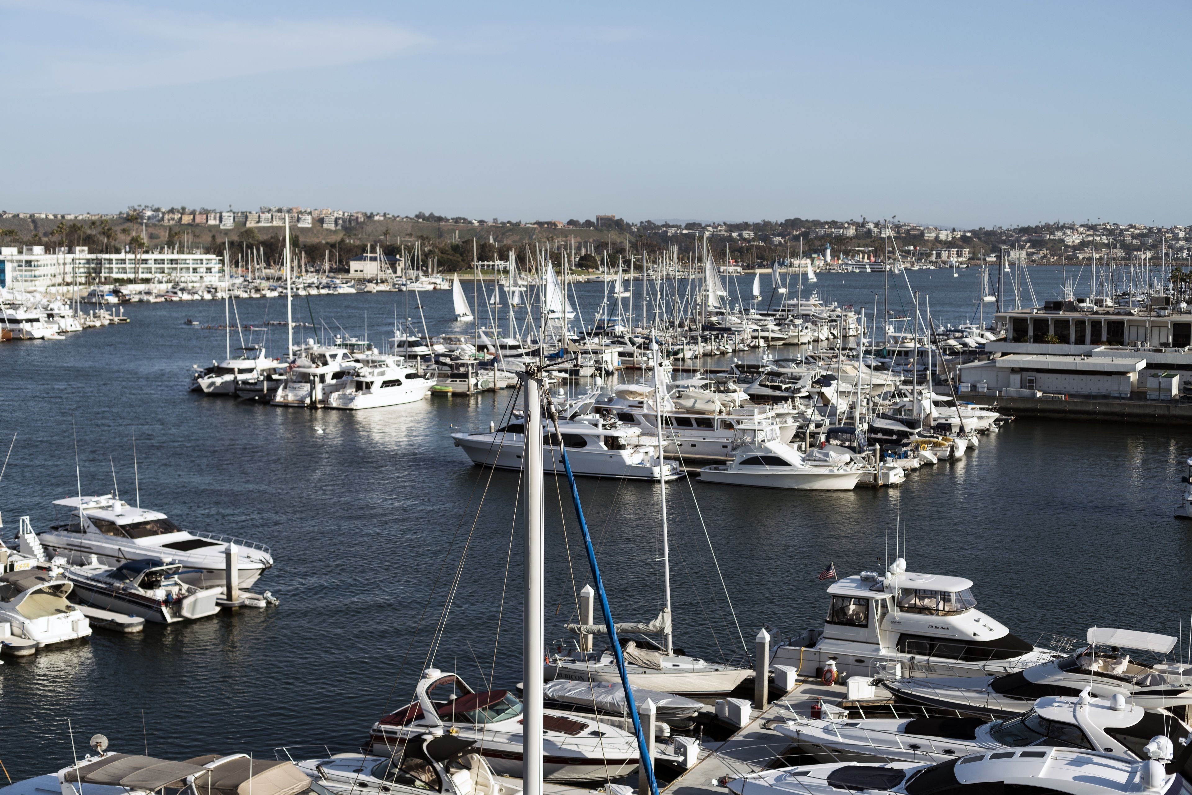 A marina with numerous boats docked, a clear sky, and a distant cityscape.