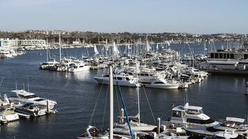 A marina with numerous boats docked, a clear sky, and a distant cityscape.