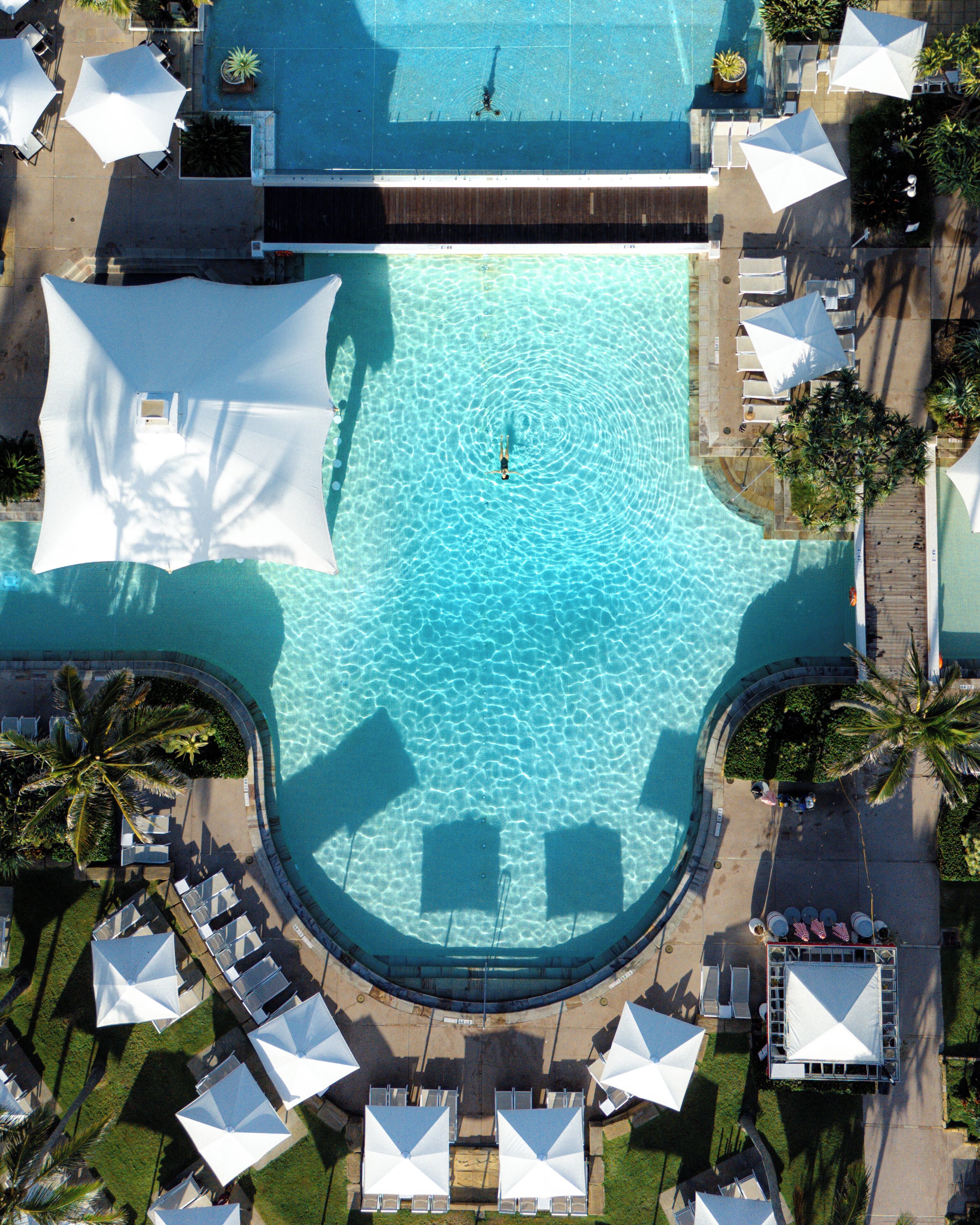 An aerial view of a swimming pool with surrounding lounge areas, palm trees, and umbrellas.