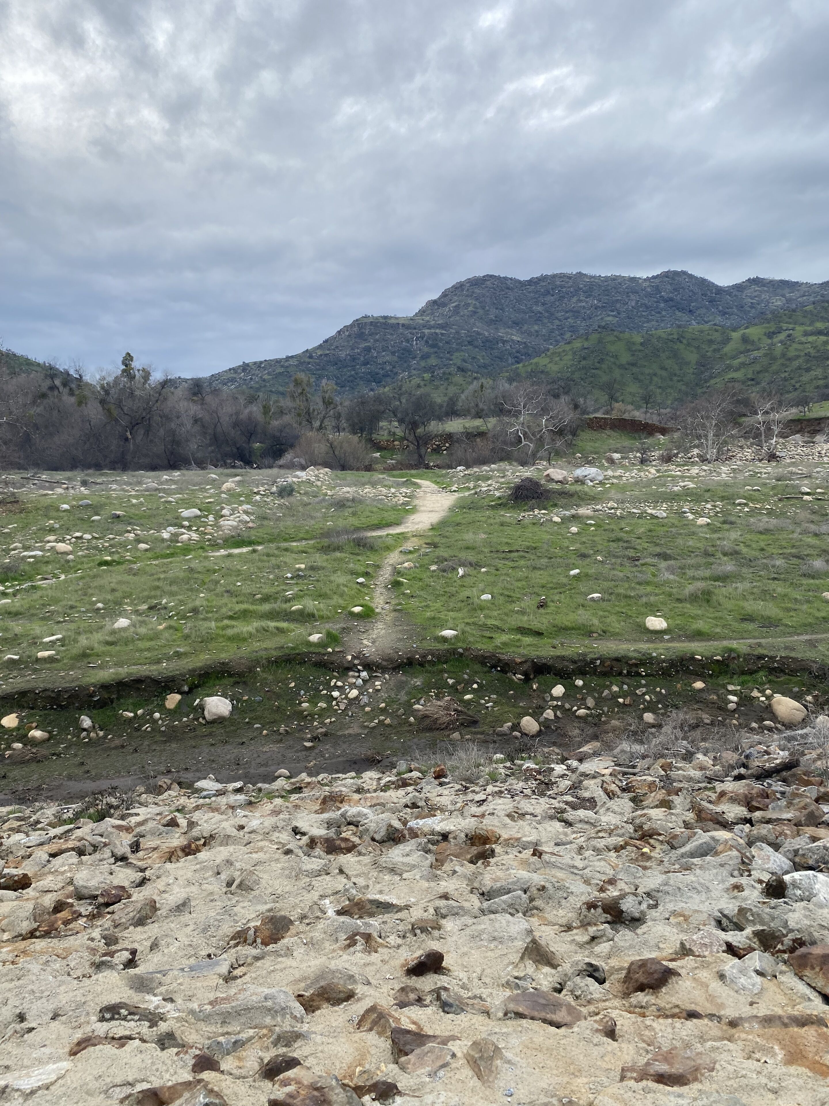 A rocky landscape with a path leading through a grassy field towards a mountain.