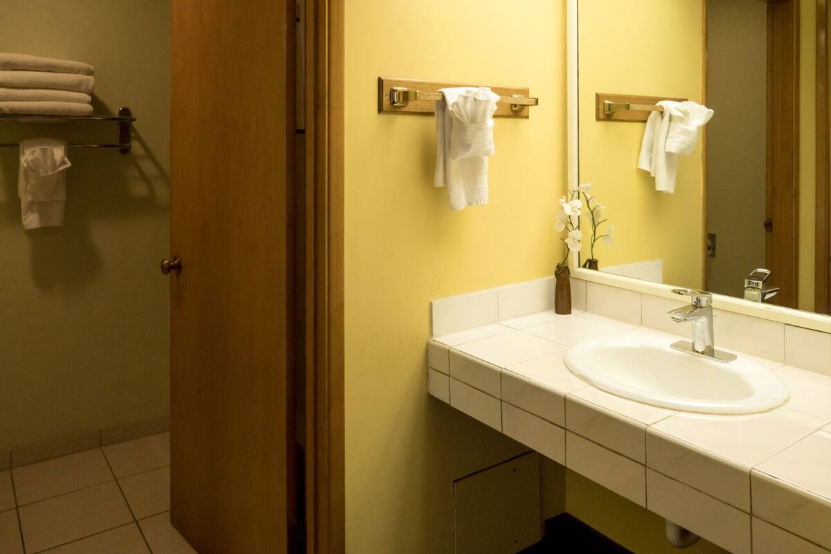 A bathroom with a white sink, a mirror, and a towel rack.