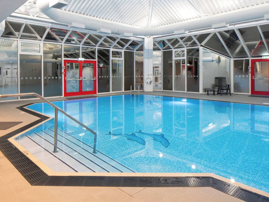 An indoor swimming pool with clear water, a diving board, and a dolphin mural.