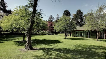 Un parque con diversidad de árboles, zona verde y un edificio con amplios ventanales.