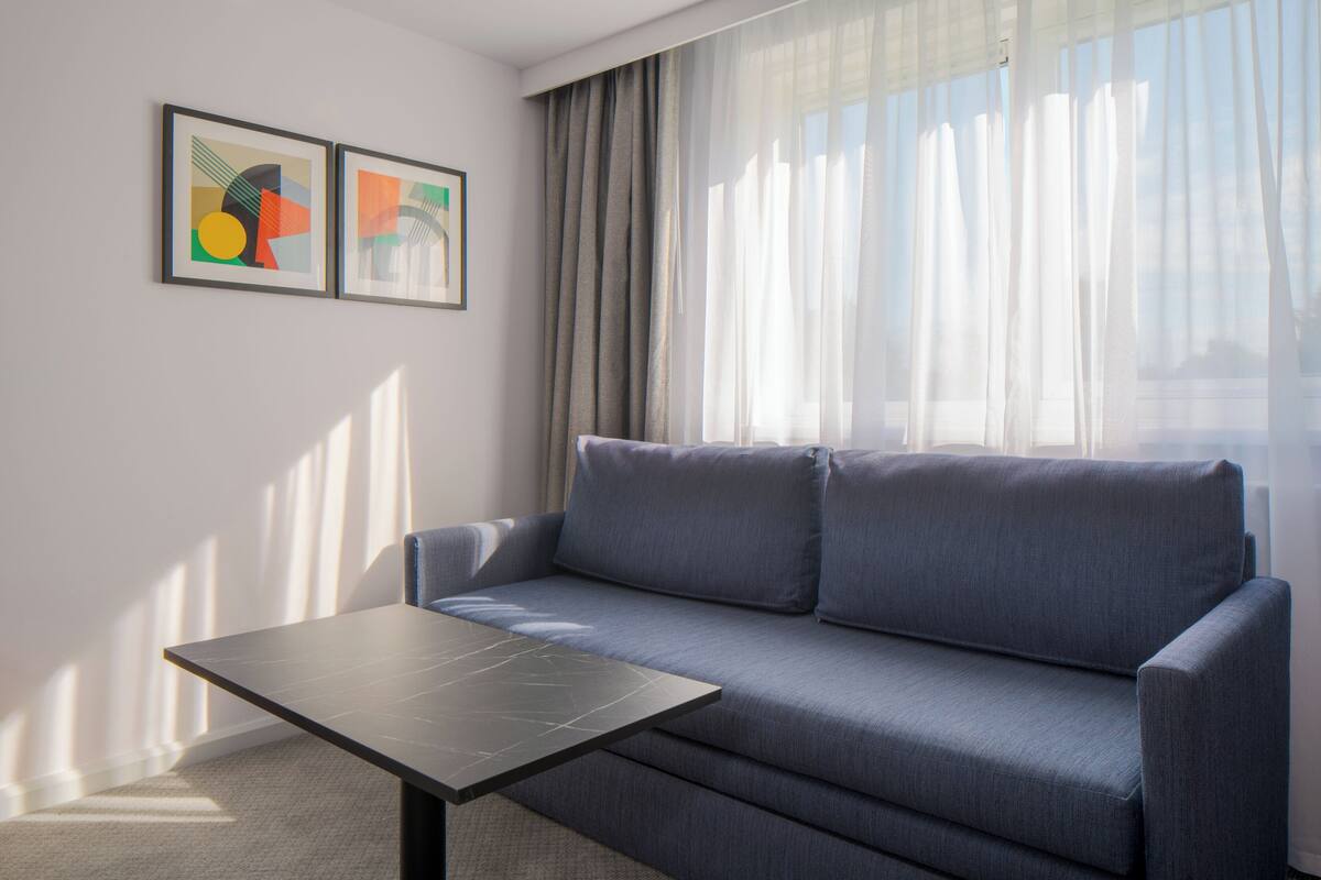 premium room, 1 double bed with sofa bed | 1 bedroom, desk, laptop workspace, blackout curtains