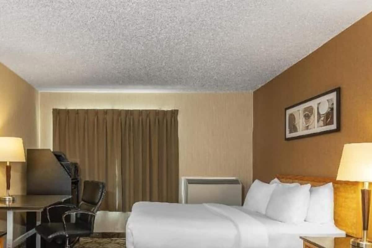 A hotel room with a bed, a desk with a TV, a chair, a lamp, and a picture on the wall.