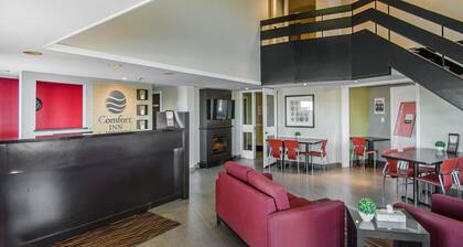 Comfort Inn Swift Current