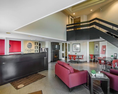 컴포트 인 스위프트 커런트