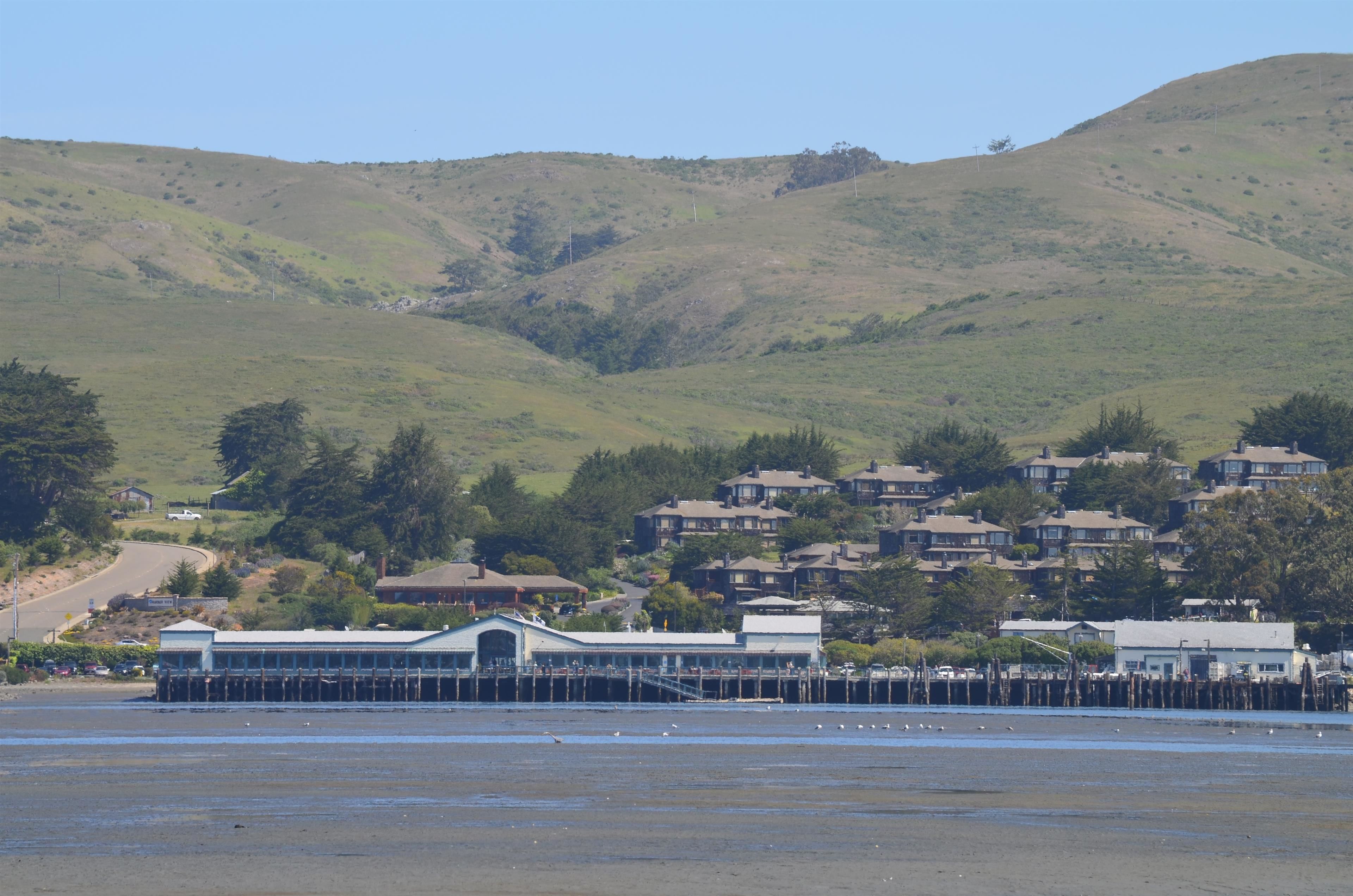 A coastal town with a prominent pier extending into the water, surrounded by residential buildings and hills in the background.