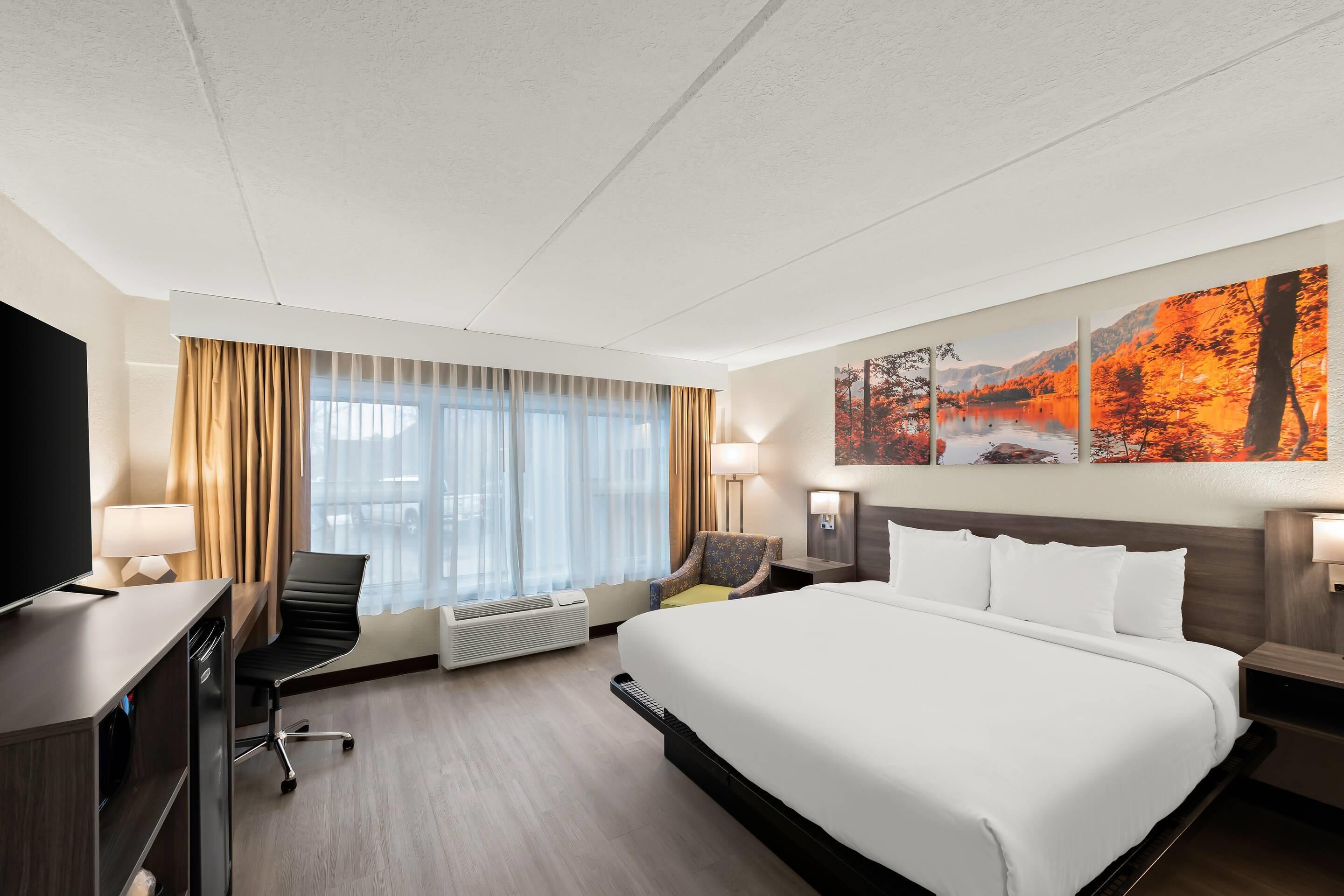 Iron/ironing board, free cribs/infant beds, rollaway beds, free WiFi