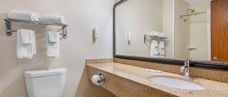 Un baño con inodoro, lavabo, toallero y espejo.