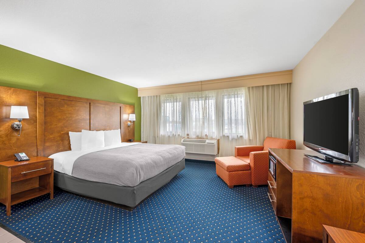 A hotel room with a bed, a television, a desk, a chair, a nightstand, and a window with curtains.