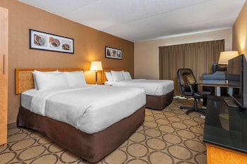Comfort Inn South
