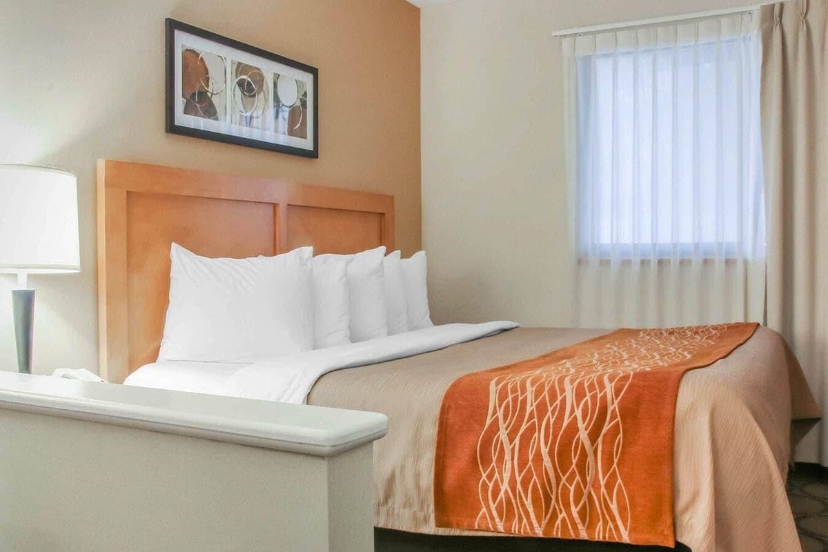 Suite, 1 King Bed, Non Smoking