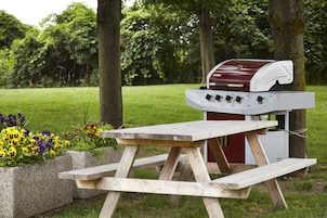 Ein Picknicktisch mit einem Grill in einem Park.