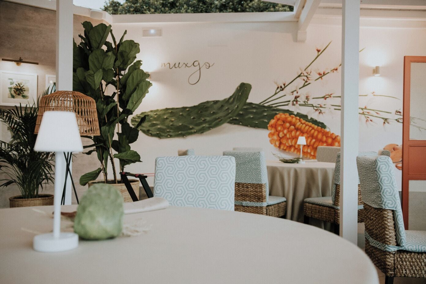 Un espacio interior acogedor con mobiliario de mimbre, una decoración de cactus y una pared con un letrero que dice 'muxgo'.