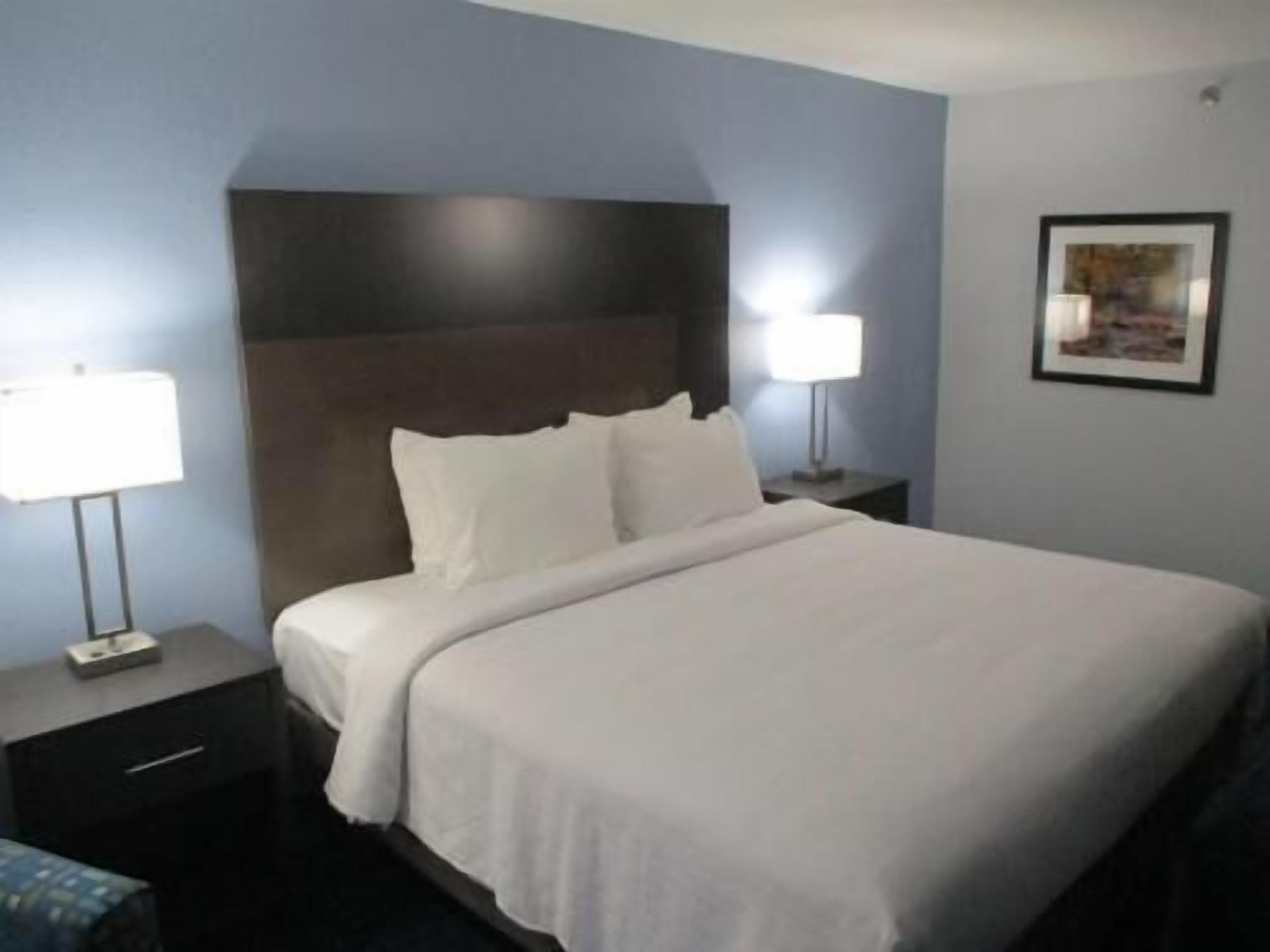 Premium bedding, pillowtop beds, desk, laptop workspace