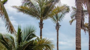 A beach with palm trees, blue umbrellas, and beach chairs.