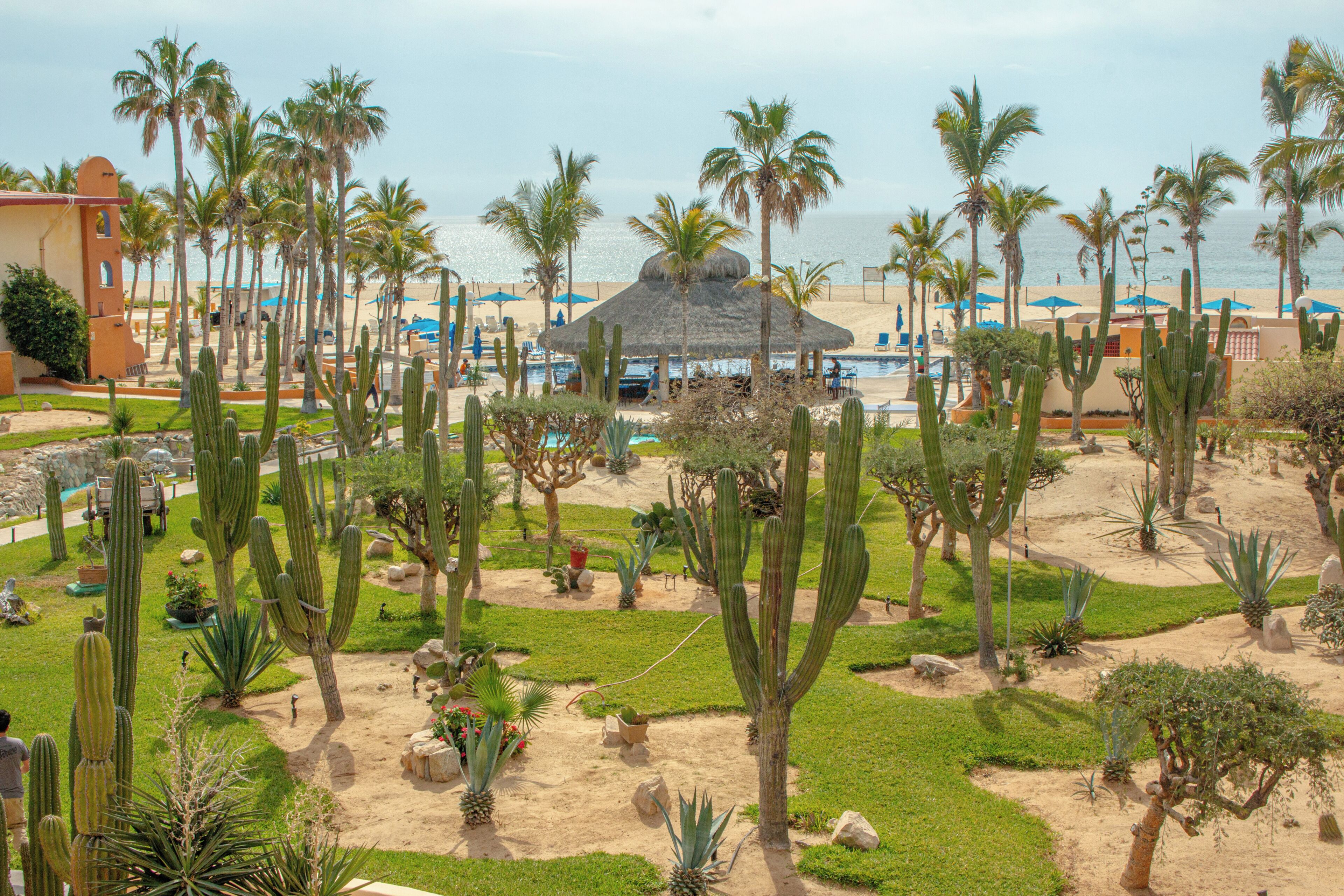 Un resort con piscina, palme e una spiaggia sullo sfondo.