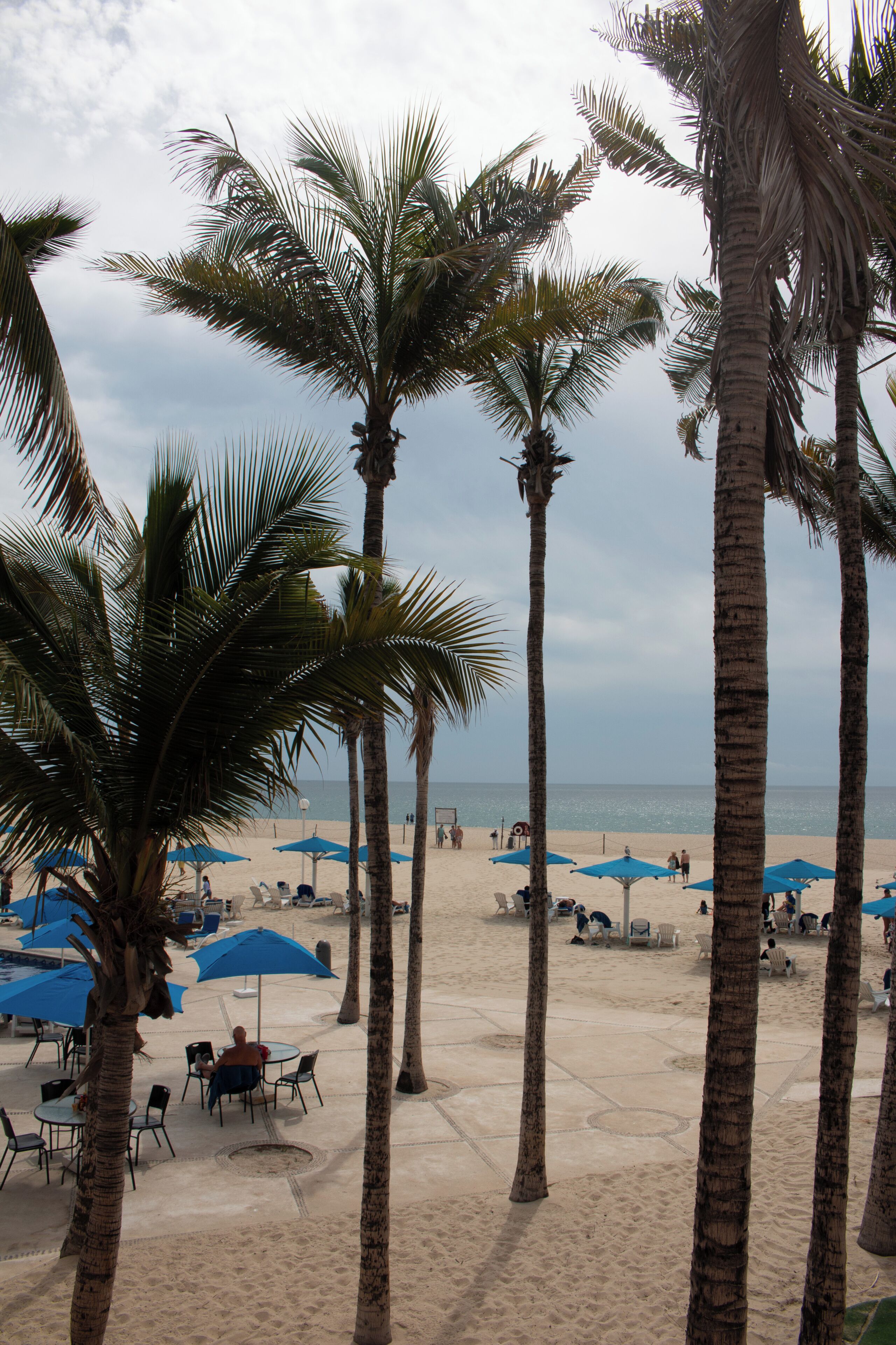 A beachside area with palm trees, blue umbrellas, and outdoor seating.