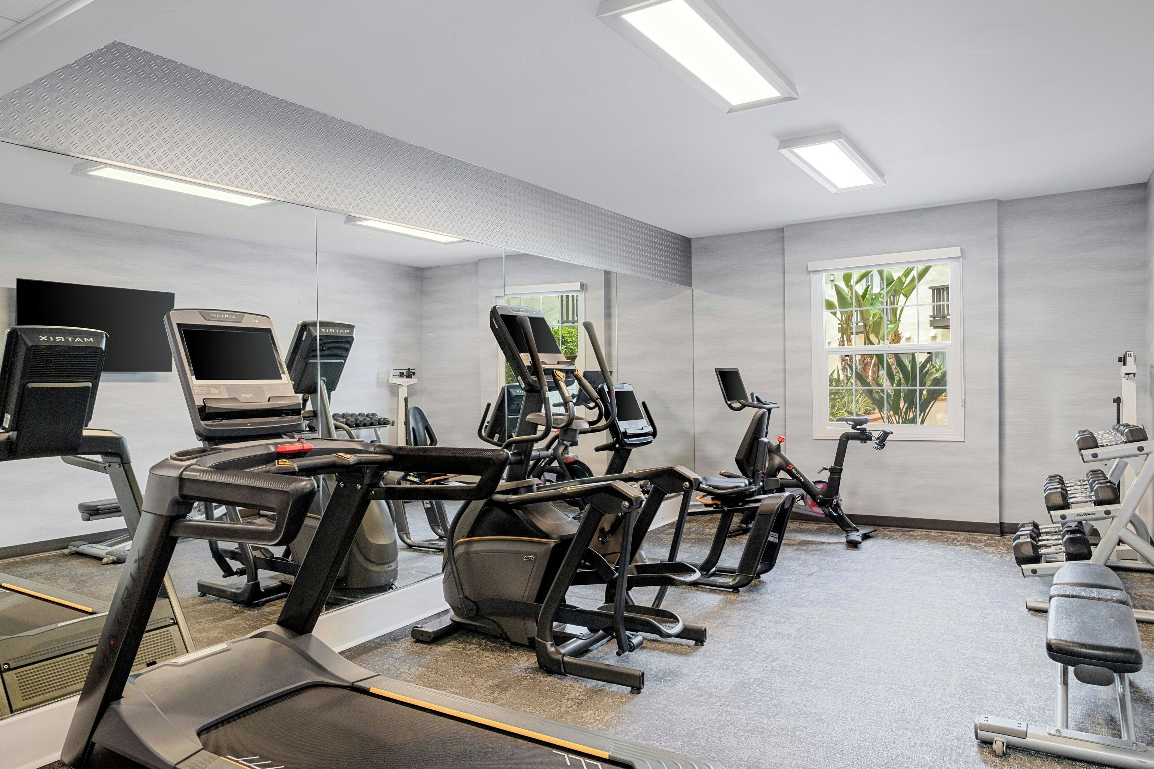 Ein Fitnessstudio mit Laufbändern, Ergometer und Krafttrainingsgeräten.