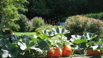 Jardín
