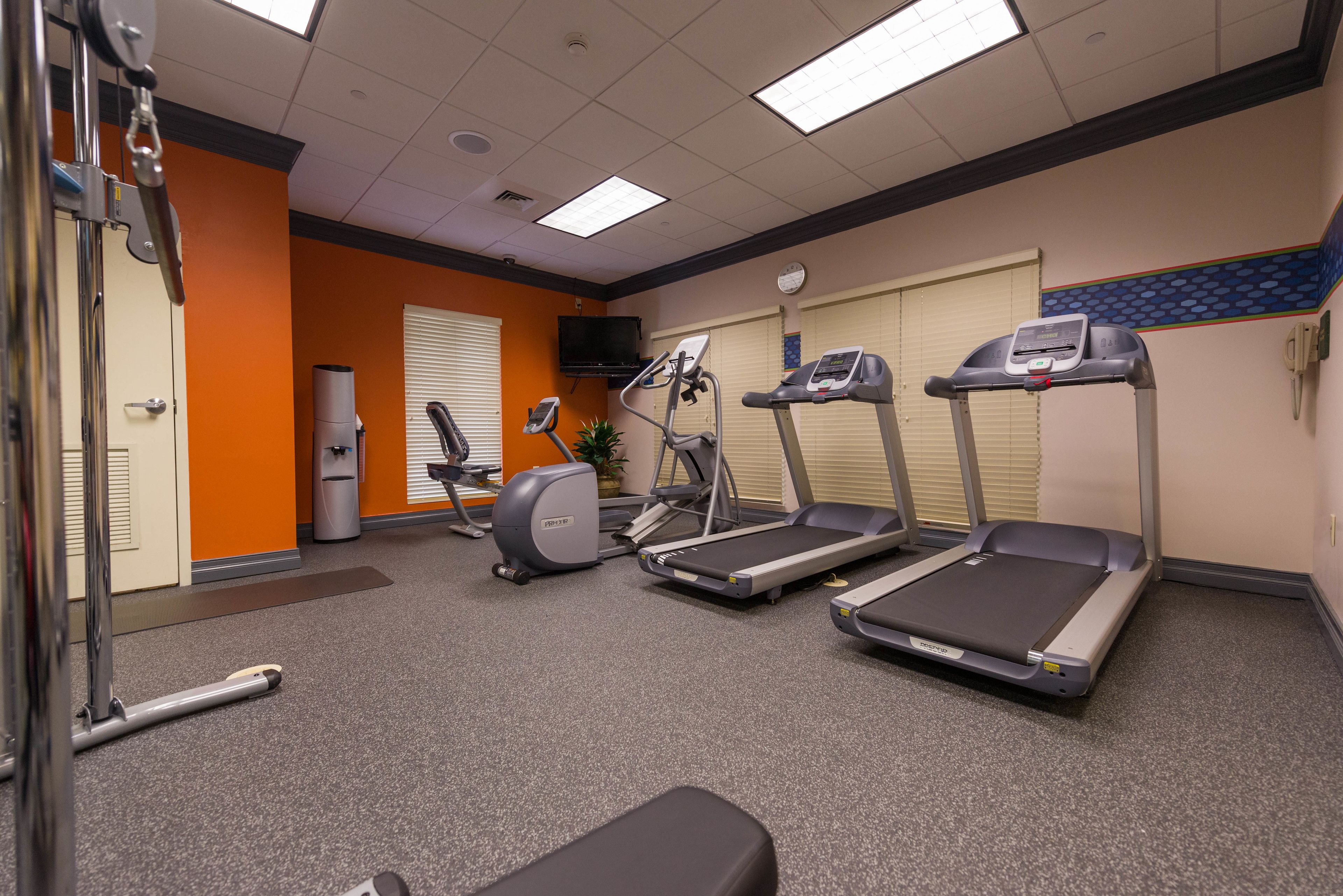 A fitness room with treadmills, a stationary bike, and a rowing machine.