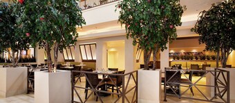 Hilton Stockton