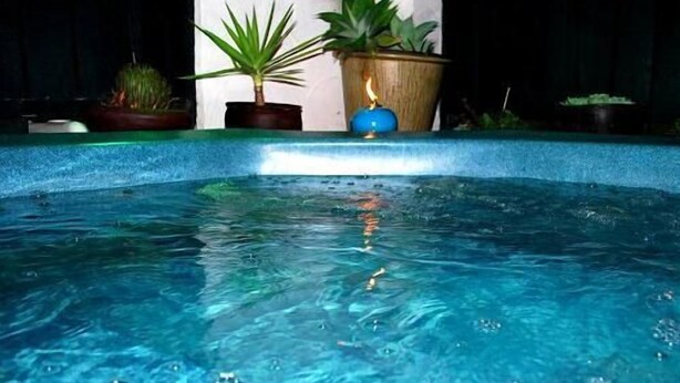 A swimming pool with clear water, surrounded by potted plants. - Casa Bella Motel (Paihia)