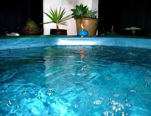 Una piscina con agua cristalina, rodeada de plantas en macetas.