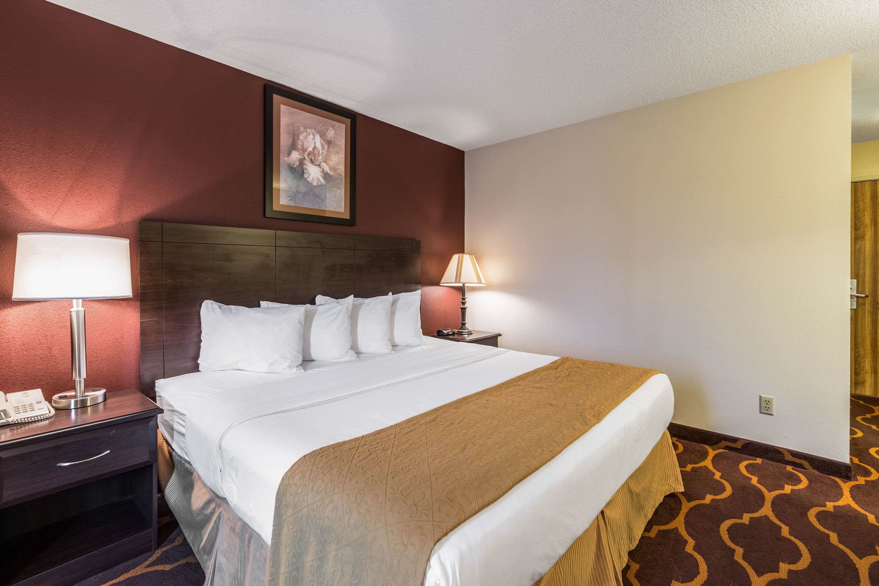 A hotel room with a large bed, two bedside tables with lamps, a framed picture on the wall, and a patterned carpet.