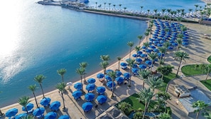 Vista aérea de una playa con hileras de sombrillas azules y palmeras.