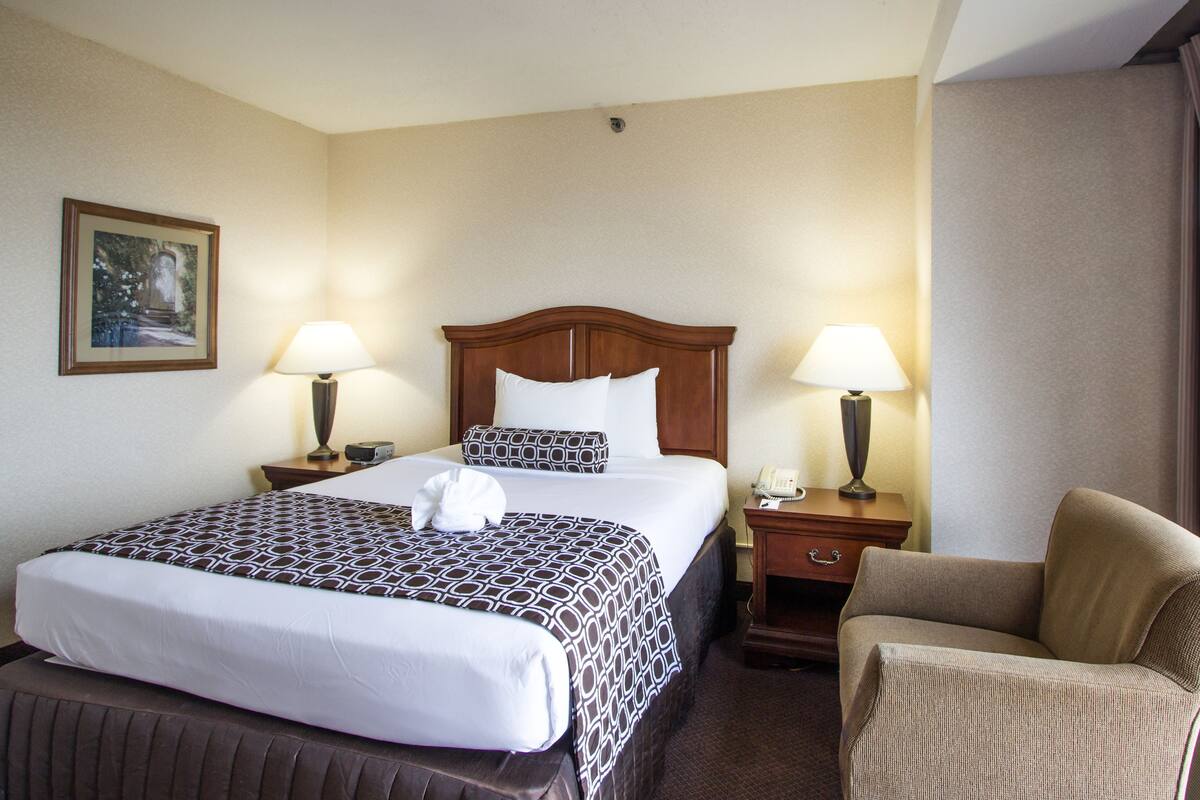 Chambre, 1 grand lit, non-fumeur