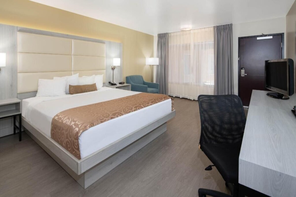 A hotel room with a large bed, a desk with a television, a chair, and a desk lamp.