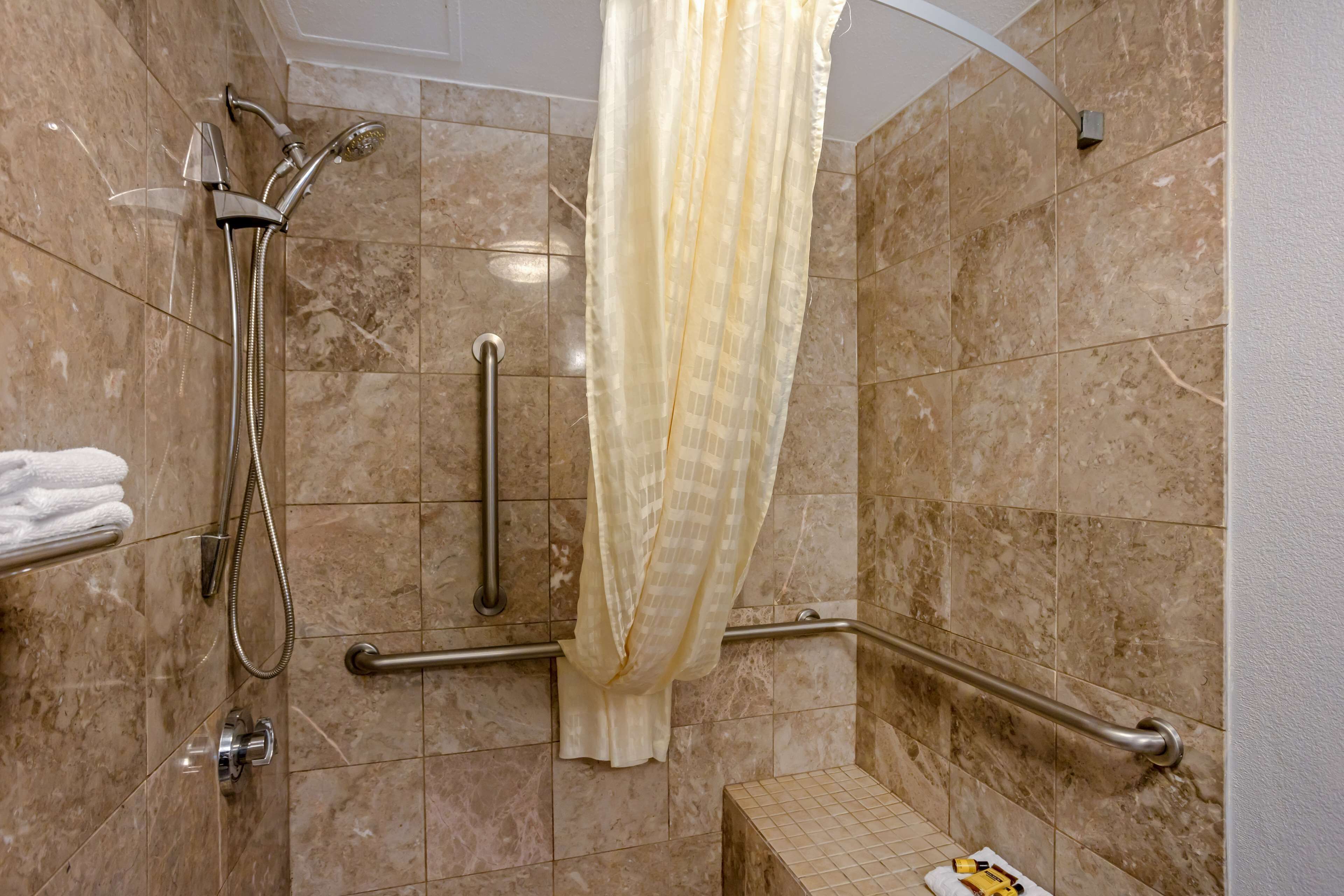 Standard Room, 1 Queen Bed with Sofa bed, Accessible, Refrigerator & Microwave (with Sofabed) | Accessible bathroom