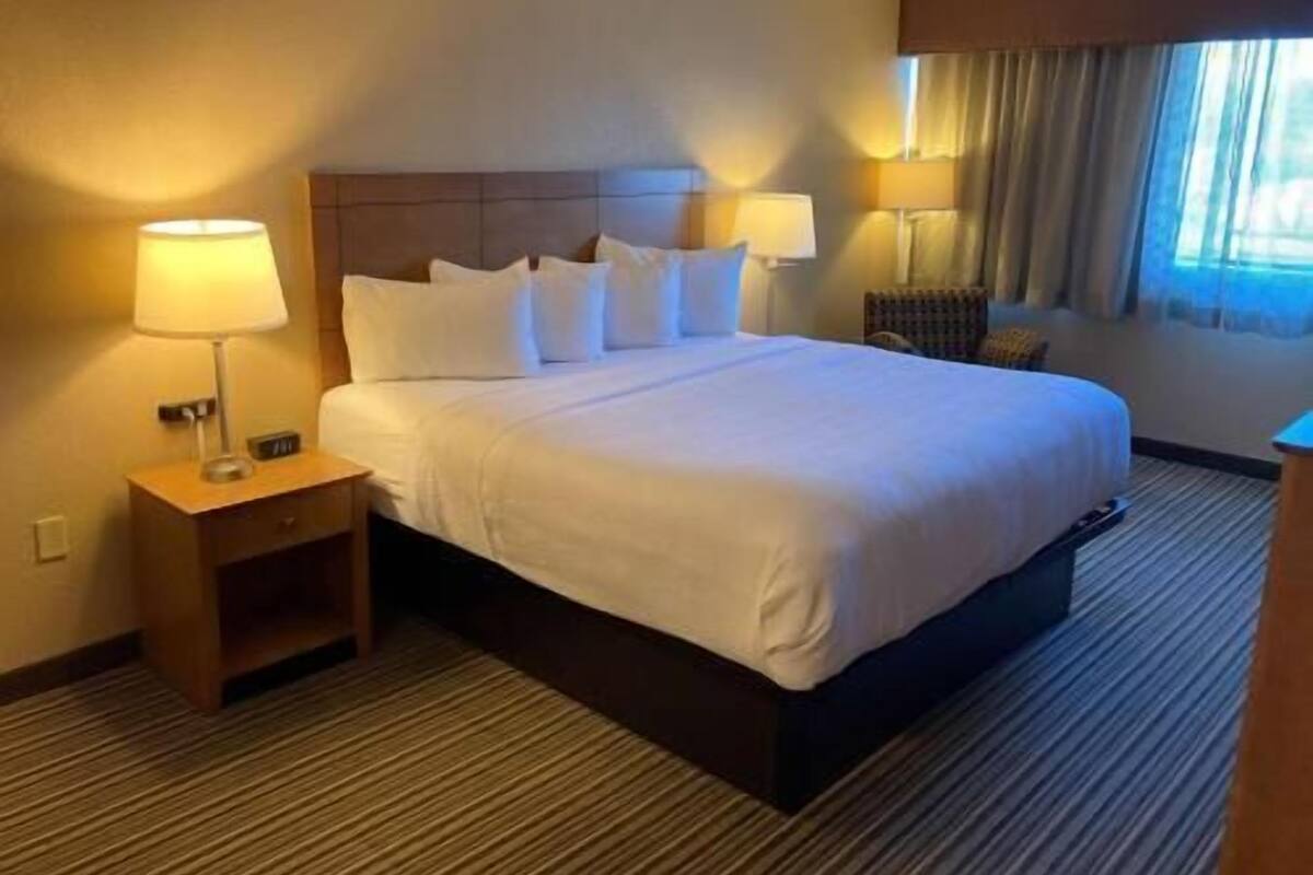 A hotel room with a bed, two bedside tables with lamps, a headboard, a window with curtains, and a carpeted floor.