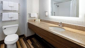 A modern bathroom with a toilet, sink, and mirror.