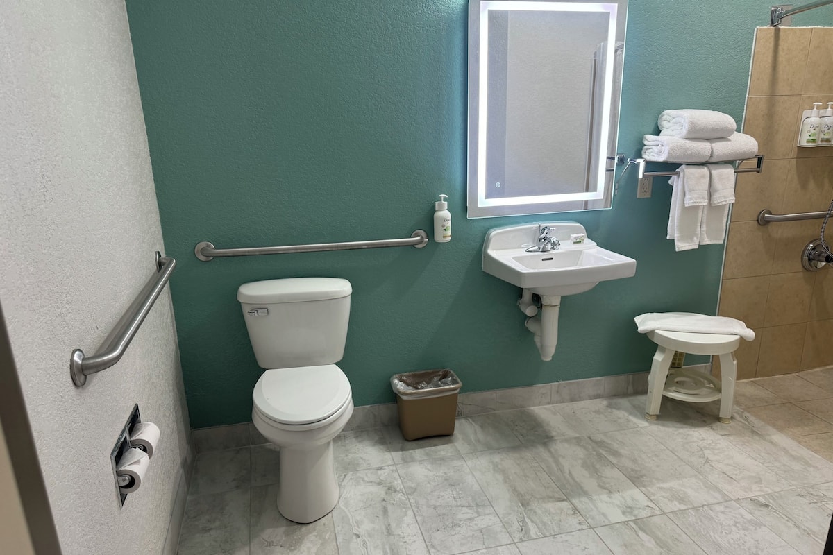 Room, 1 Queen Bed, Accessible, Non Smoking | Bathroom | Combined shower/tub, free toiletries, hair dryer, towels